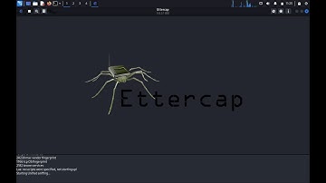 Session Hijacking using Ettercap
