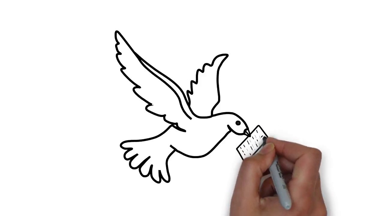 HOW TO DRAW A BIRD BIRD DRAWING EASY Make Draw Area