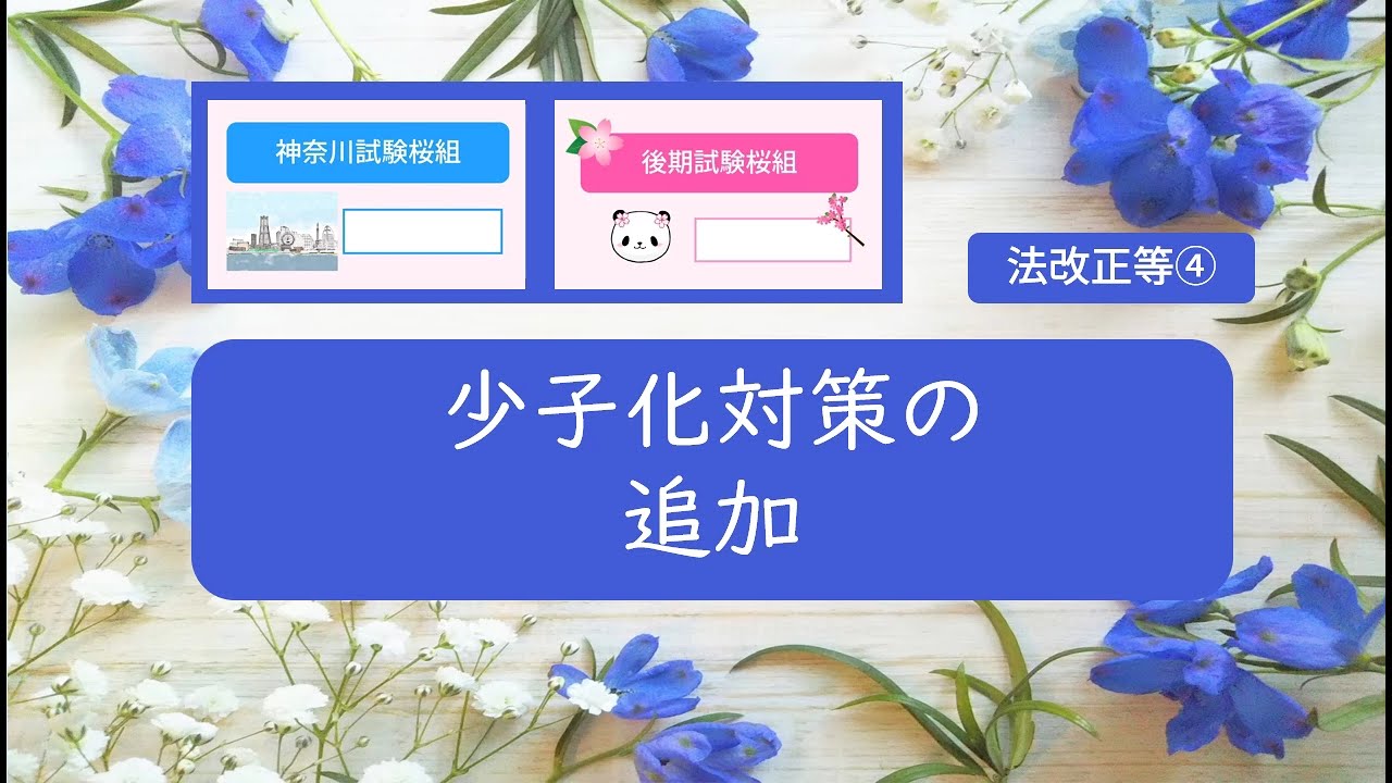 法改正④少子化対策の追加