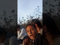 हुरडा पार्टी इन फार्म 3