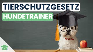 Tierschutzgesetz Tierschg Einfach Erklärt Hundetrainer