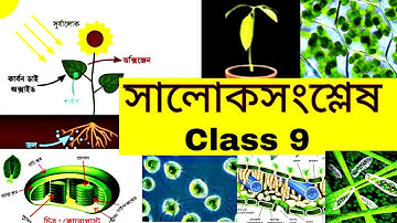 সালোকসংশ্লেষ | Class 9 Chapter 3 জৈবনিক প্রক্রিয়া