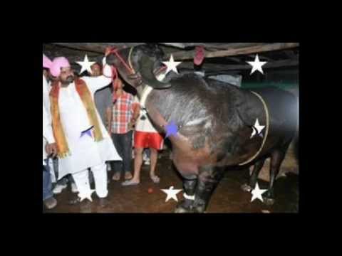 pothu chudu amma na puthu chudu