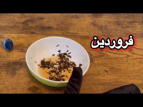 فال روزانه ۲۴ شهریور ۱۵ سپتامبر نیت کنید