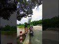 গ্রামের পুরনো বটগাছ #tiktok_vairal_song #trending #bokulful #love #attitudeedit #trendingbangla