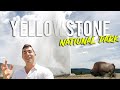 Yellowstone National Park Vlog [USA Road Trip EP 7]