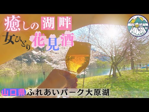 【期間限定公開】桜満開お花見キャンプ！ソロティピー1TCバージョンin山口県ふれあいパーク大原湖