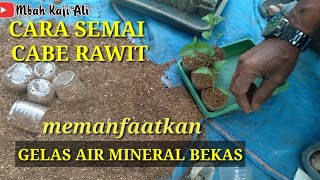 CARA SEMAI CABE MENGGUNAKAN GELAS AIR MINERAL BEKAS