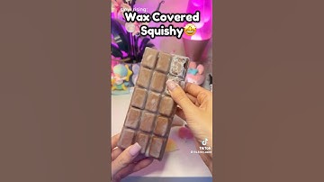 🫧Wax Covered Squishy!? #squishy #diysquishy #crafts #craft #cutecrafts #fidgettoys