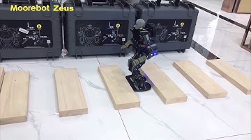 Moorebot Zeus Walks
