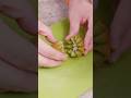 How to Cut Kiwi Lotus Flower #shorts