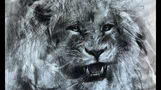 LION CHARCOAL DRAWING TUTORIAL (NO CUTS)