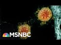 Health Officials: Worst Is Yet To Come With COVID-19 Outbreak | The 11th Hour | MSNBC