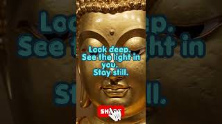 DO NOT BLINK: The 45s Buddha Mirror Hack (99% Fail) 🧘♂️✨