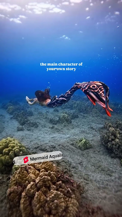@mermaidaqualina is a gentle reminder that we have free will and you can just be a mermaid #mermaid