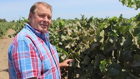 World Renown Plant Pathologist Doug Gubler Retires