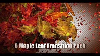 5 Maple Leaf Transition Pack | Motion Graphics - Videohive template