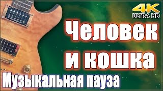 2015-11-09 Музыкальная пауза. «Человек и кошка» (4K) 2015-11-09 Музыкальная пауза. «Человек и кошка» (4K)