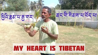 An Indian man tells,"i am Indian by birth but Tibetan by heart". @karmawoeser