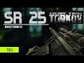 Обзор на винтовку SR 25 в Escape from Tarkov, дешево и эффективно!