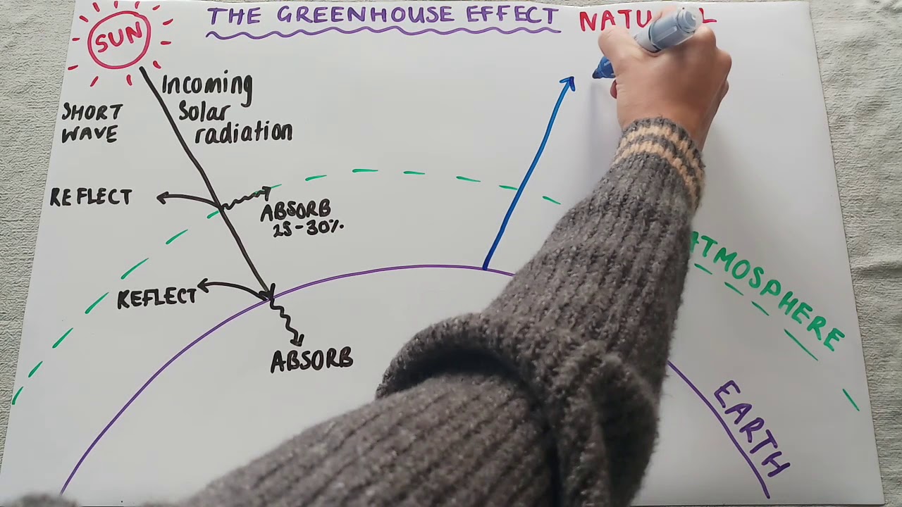 ⁣The greenhouse effect
