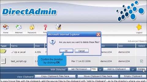 How to use File Manager in DirectAdmin