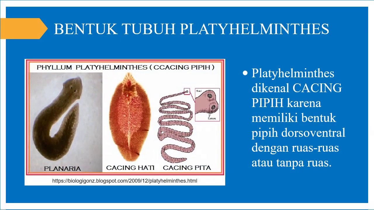 Helminthiasis férgek, Helminthiasis - Tudástár