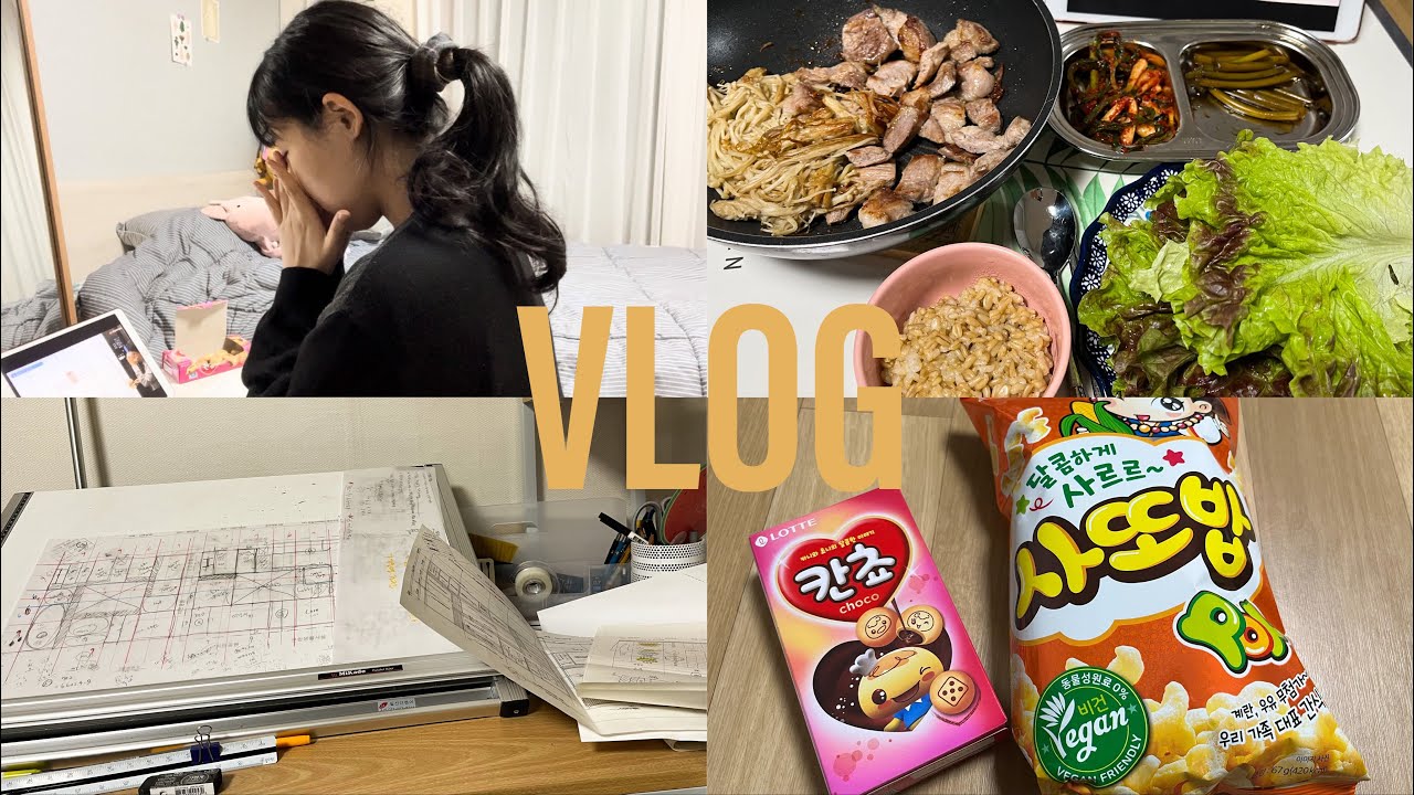 공부하는 직장인 브이로그 | 건축사 시험 | 언니가 과자 사줄게, 일단 공부 한 시간만 하자…