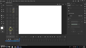 Animate CC 2020 Workspace