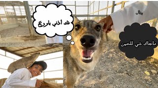 محمية الذئاب/الأرانب البريه/الوبر|زيارتنا للمروض رائد العريمه🐇🐺😍.