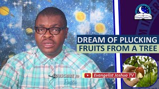 DREAM OF PLUCKING FRUITS FROM A TREE - Biblical Meaning of Fruits