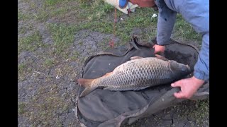 Очень крутая рыбалка на карпа в Воронежской области