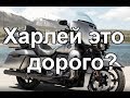 За сколько можно купить Харлей?