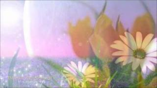 Emke K 12.Wmv
