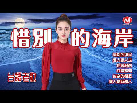 【台語老歌】惜別的海岸｜愛人跟人走｜你著忍耐｜紅燈碼頭｜無奈的相思｜愛人是行船人 Taiwanese Oldies (歌詞版)