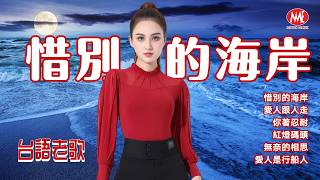 【台語老歌】惜別的海岸｜愛人跟人走｜你著忍耐｜紅燈碼頭｜無奈的相思｜愛人是行船人 Taiwanese Oldies (歌詞版)