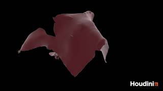 houdini cloth test