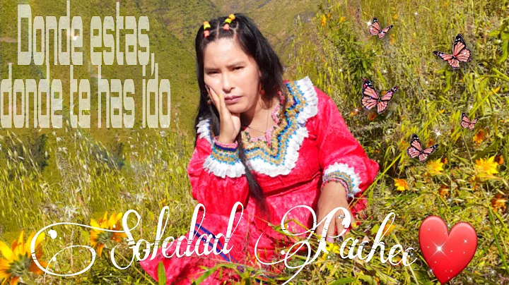 Donde estas, donde te has ido( cover)- Soledad Pac...