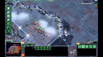Terran Counters for Mutalisks in StarCraft 2
