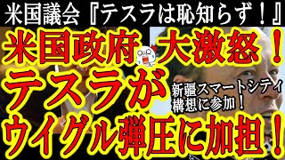 【テスラに米国政府が大激怒！『テスラが人権弾圧に加担した！恥知らずだ！』】中国政府の『新疆スマートシティ構想』を米国企業テスラが全力支援の姿勢！テスラが完全に中国共産党傘下へ！これ制裁来るんじゃないの