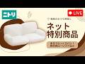 【LIVE配信】梅雨のおうち時間に☔まるでふっくらパン!肘付きローソファをご紹介✨