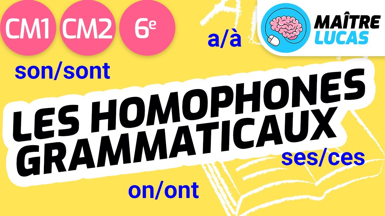 Homophones grammaticaux CM1   CM2   6me   Cycle 3   Franais   Grammaire