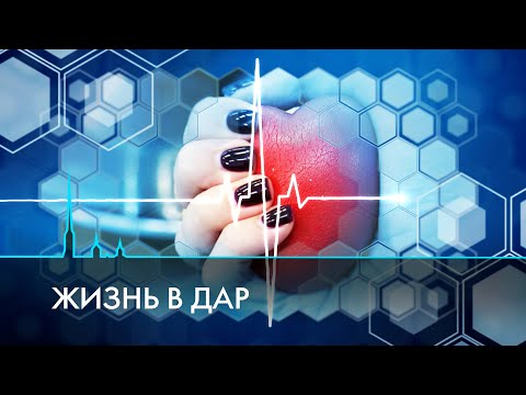 Пересадка костного мозга. Встреча доноров и реципиентов
