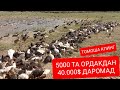 УЙ ШАРОИТИДА 5000 ТА ОРДАК БОКИБ 40.000$ ДАРОМАД ОЛИШ