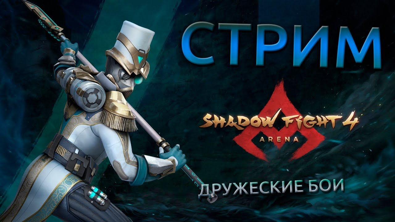 дружеский бой