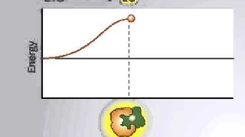 Enzyme substrate complex