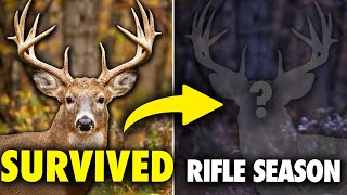I Tracked How One Mature Buck Survived Hunting Season