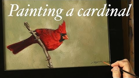 Learn How To Paint  A Cardinal in Acryilc with Tim Gagnon Timelapse Preview