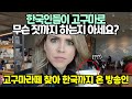 한국 고구마 라떼 비밀 밝히려 한국까지온 미국 방송