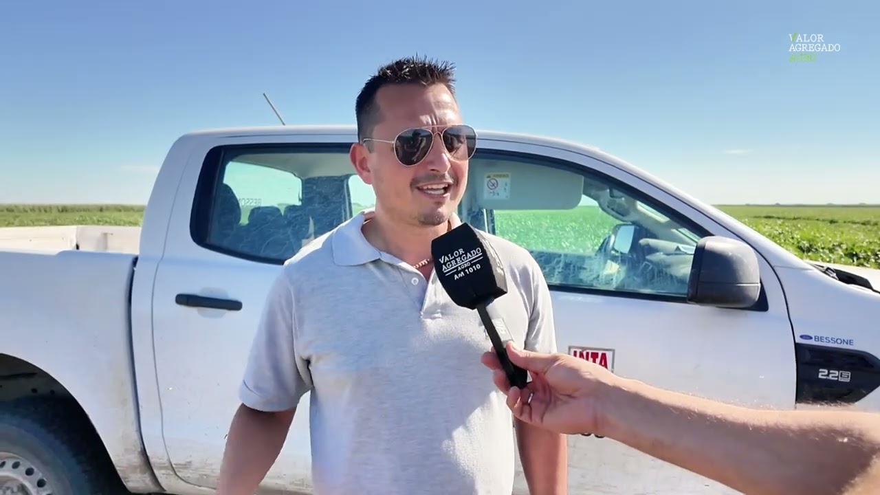 INTA Río Cuarto: “La clave no es solo la genética, sino hacer mejor agronomía”